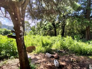 VENDO AMPLIO TERRENO EN GRANJAS BUENOS AIRES KM 22.5 CES - 4