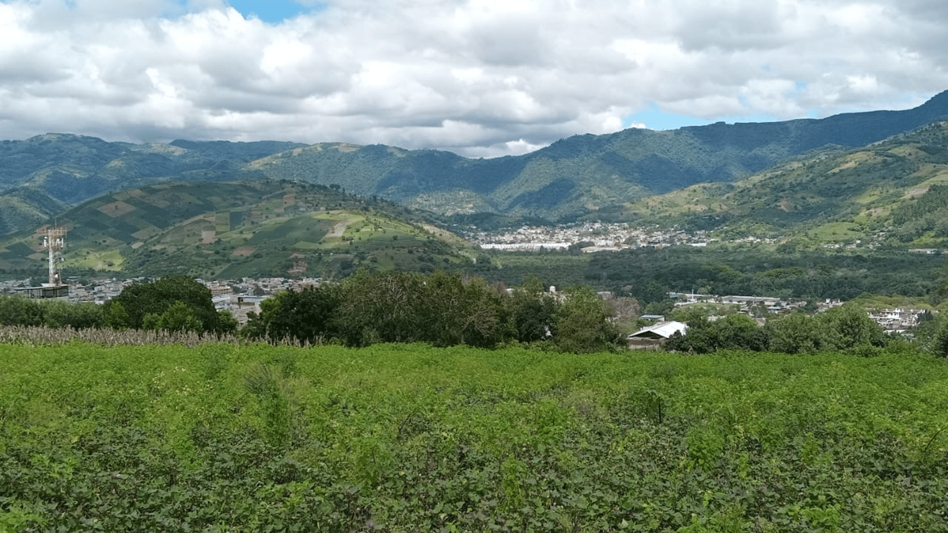 Terreno en venta, Ciudad Vieja - Miniatura 2