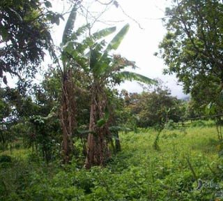 Terreno en venta a pocos minutos del centro de Antigua