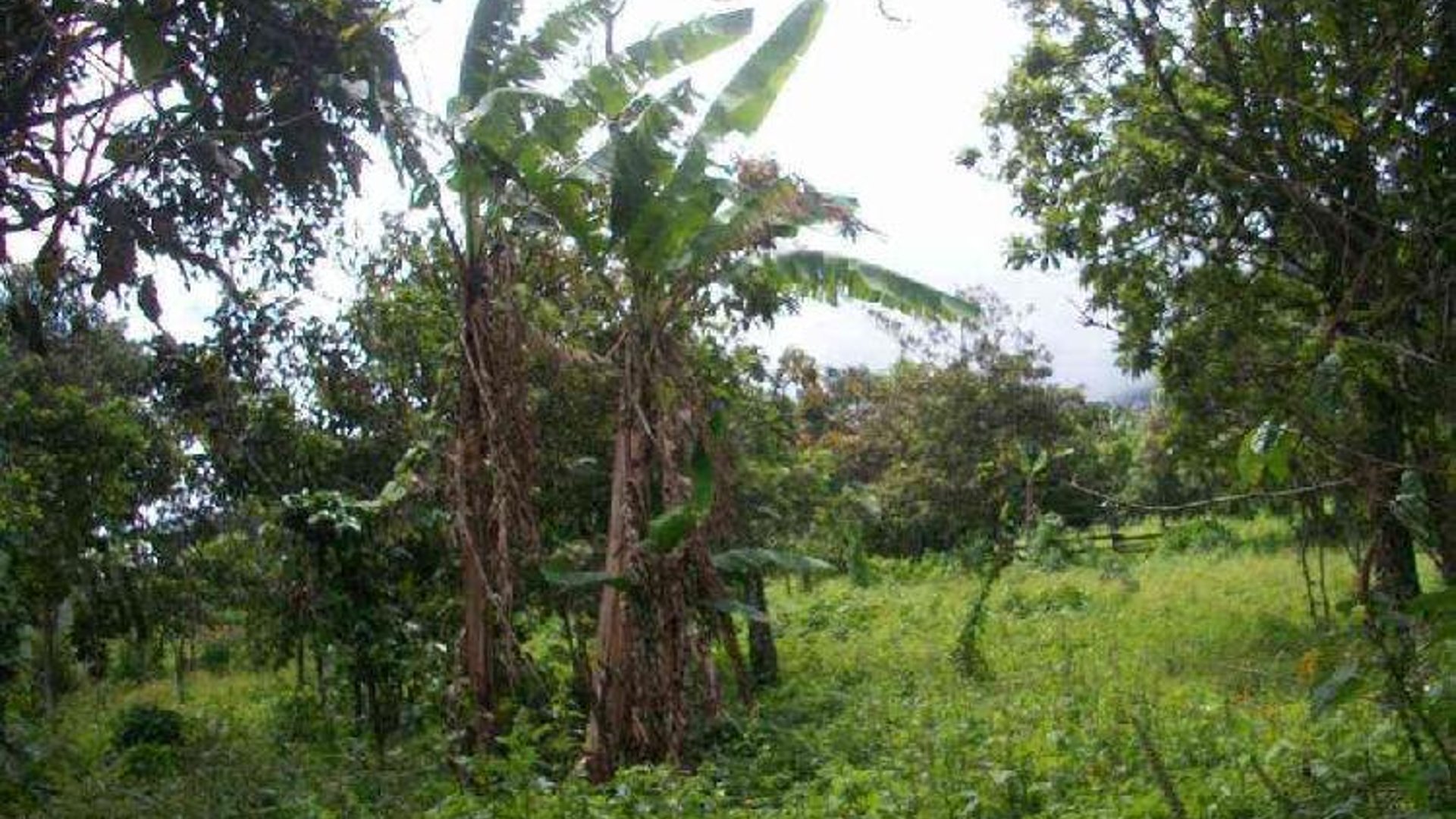 Terreno en venta a pocos minutos del centro de Antigua