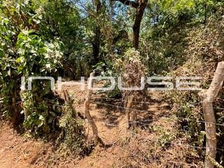 TERRENO EN VENTA EN SANTA ELENA BARILLAS - Image 10