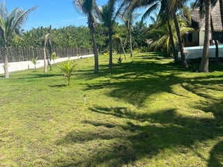 Terreno en Venta carretera a Monterrico - 5