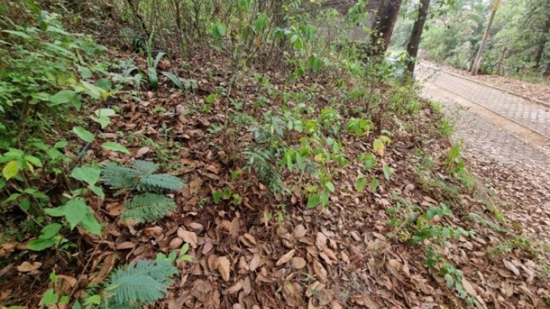 Terreno en Venta KM 32 San Lucas Sacatepéquez. Garita - Miniatura 4