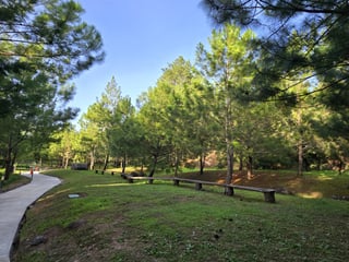 Terreno en Venta zona 16 el Pulte Guatemala - 2