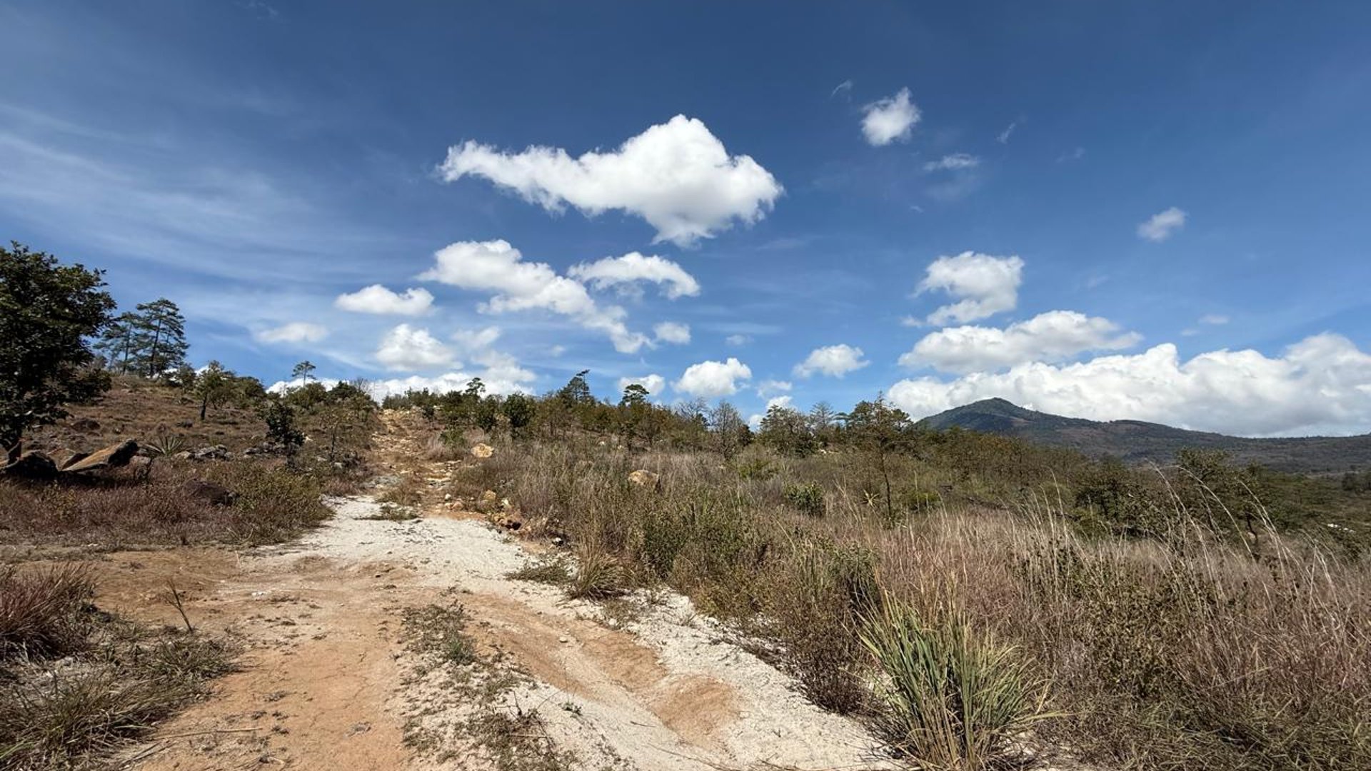 Bello Terreno En Venta En Ciudad Palmeras, Jalapa