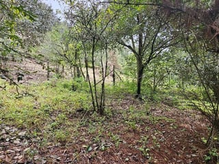 TERRENO EN VENTA SAN LUCAS KM 31.5 CARRETERA ANTIGUA - 3