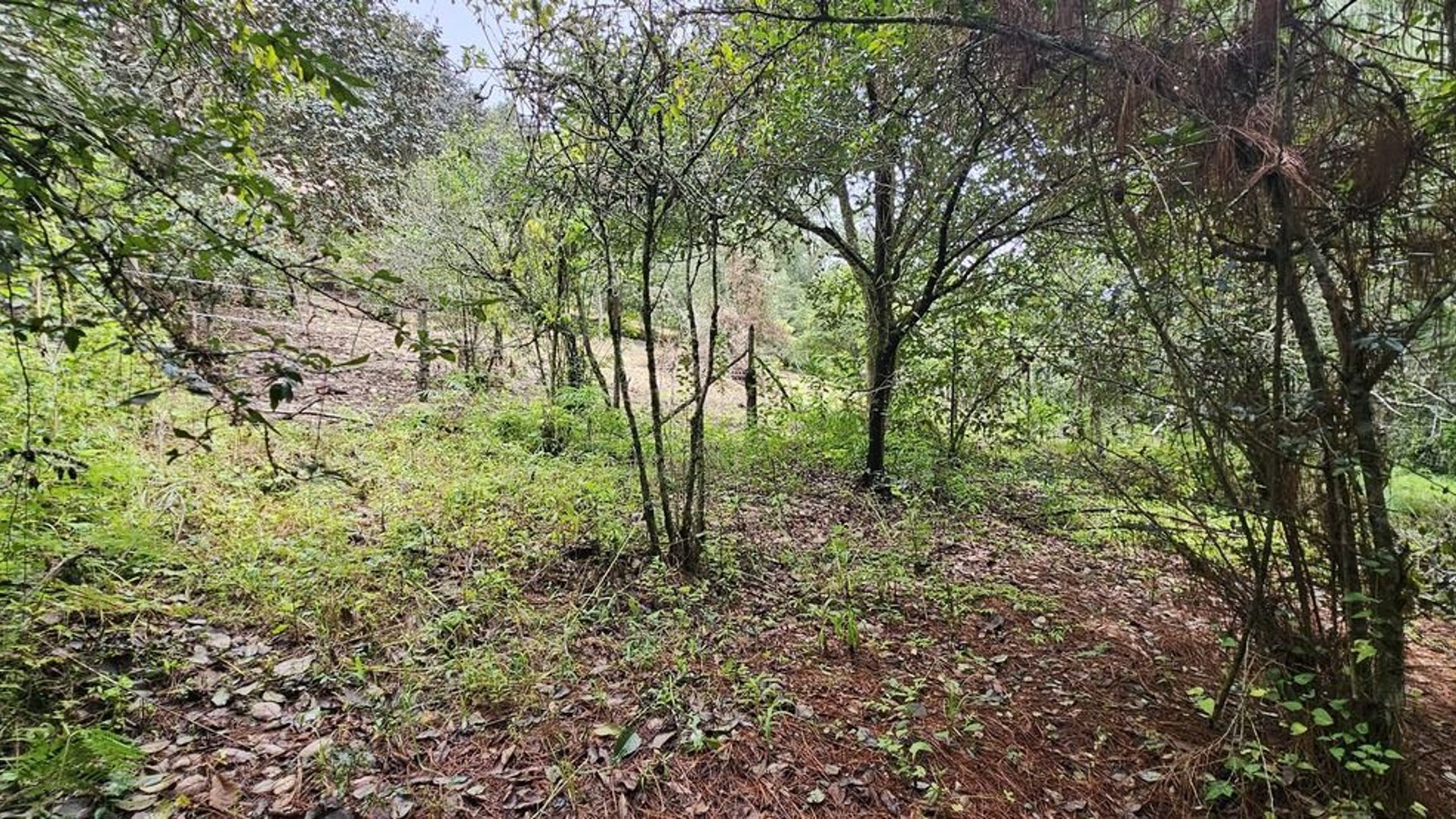 TERRENO EN VENTA SAN LUCAS KM 31.5 CARRETERA ANTIGUA - Miniatura 3