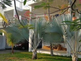 Casa en Venta Aldea el Hawai, Chiquimulilla, Santa Rosa - 2