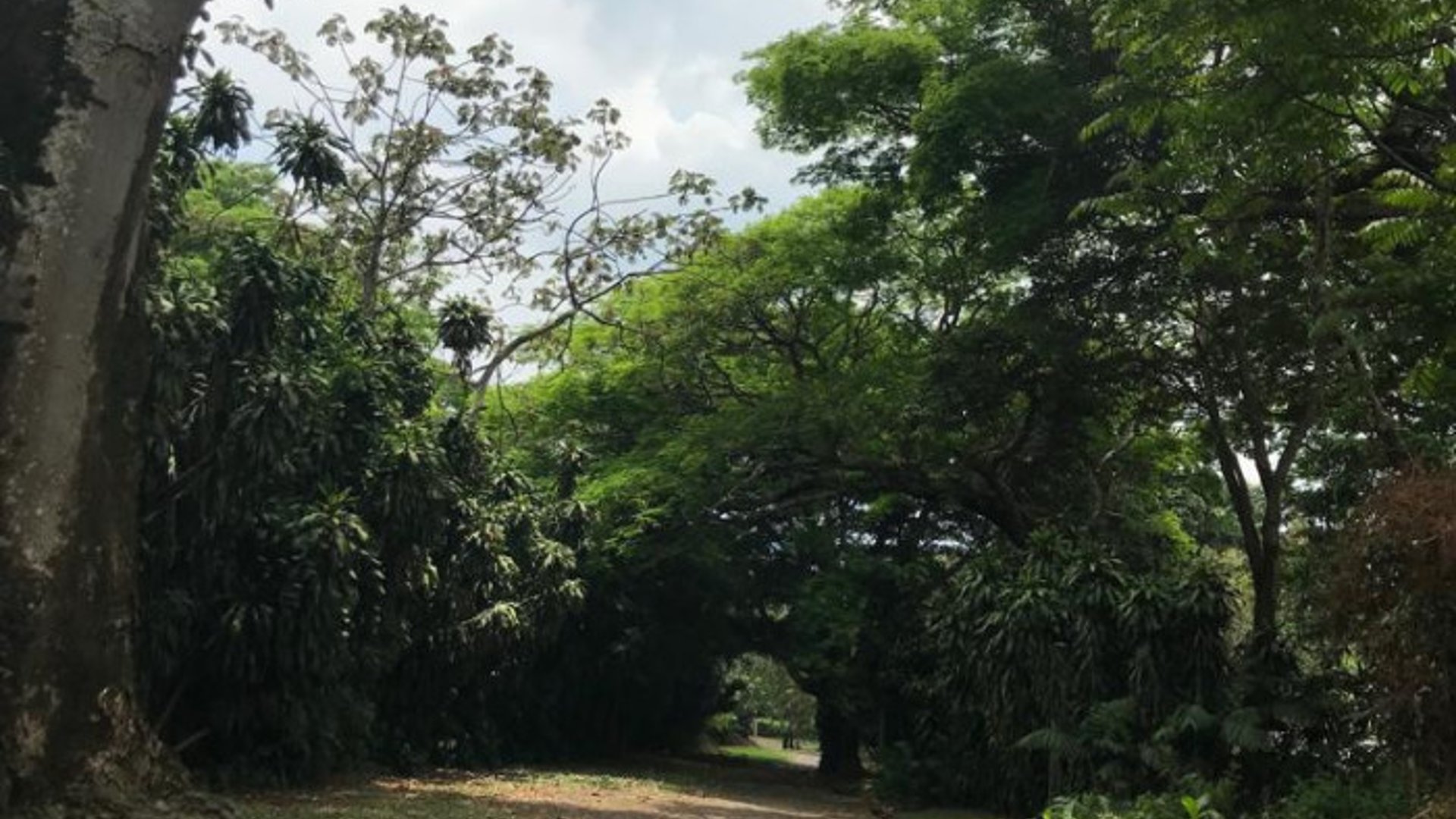 TERRENO EN VENTA CAMPO AVENTURA PALIN ESCUINTLA - Miniatura 5