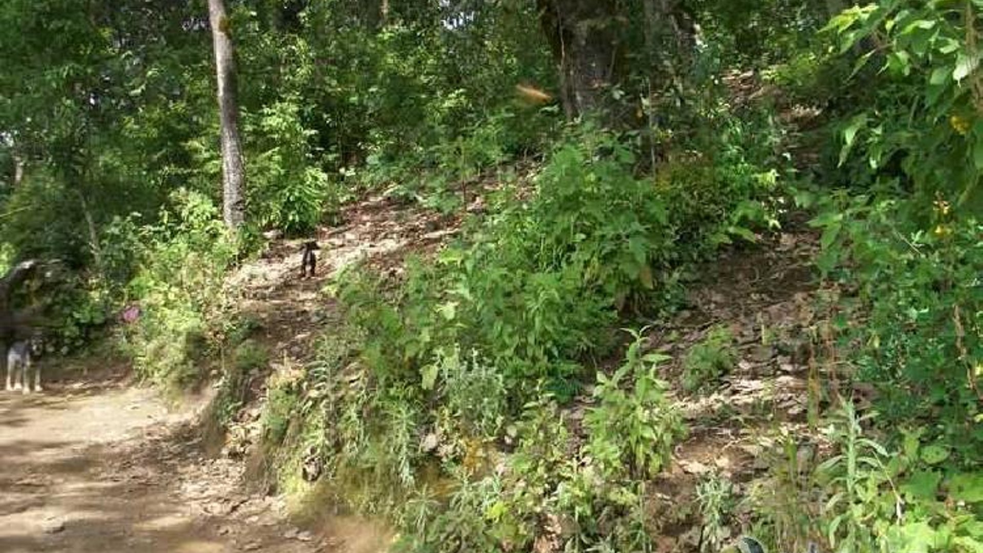Terreno en venta en Aldea Chichorin San Lucas - Miniatura 7