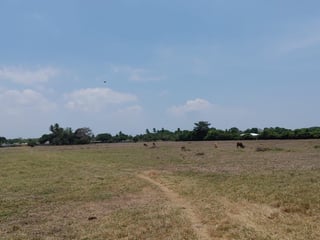 📍 FINCA EN VENTA – 95.11 MANZANAS | NUEVA CONCEPCIÓN | ESCUINTLA - 4