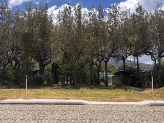 Lote en Venta, Residencial Los Apóstoles, Antigua Guatemala - 4