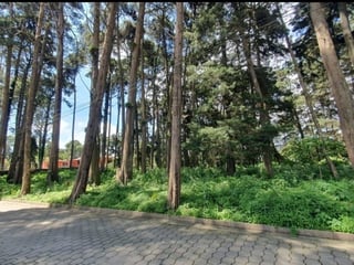Precioso Terreno en Venta, Finca el Socorro, km 13 CAES - 2