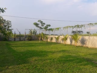 Casa en Venta Quintas La Ponderosa, Puerto Quetzal - 4