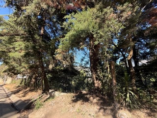 VENTA DE AMPLIO TERRENO - EL HATO, ANTIGUA GUATEMALA - 2