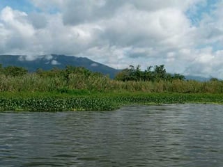 Vendo Terreno en El Estor Izabal - Image 3