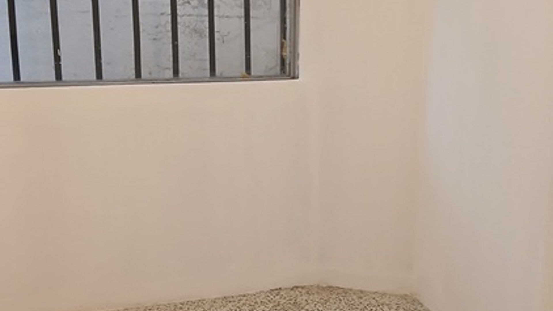 VENDO ZONA 3 CASA GRANDE EN COLONIA BRAN - Miniatura 38