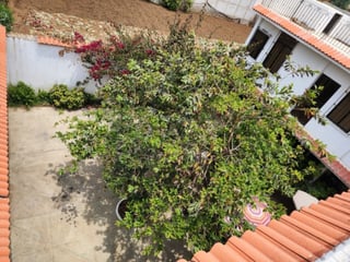 Casa en Venta para Comercio en Santa Lucia Milpas Altas - 3