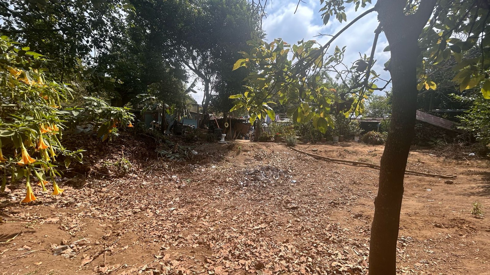Venta de terreno rustico en San Lucas - Miniatura 3