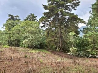 En Venta Terreno en Zona 16 Villa Ecuestre El Pulté - 4