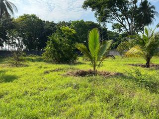 TERRENO EN VENTA EN ESCUINTLA - 4
