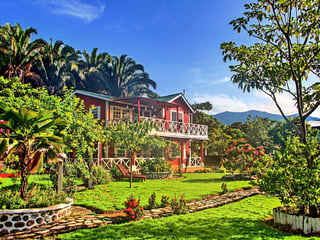 CASA EN VENTA / RENTA EN BARRIO LA COROZA, EL ESTOR, IZABAL - Image 4