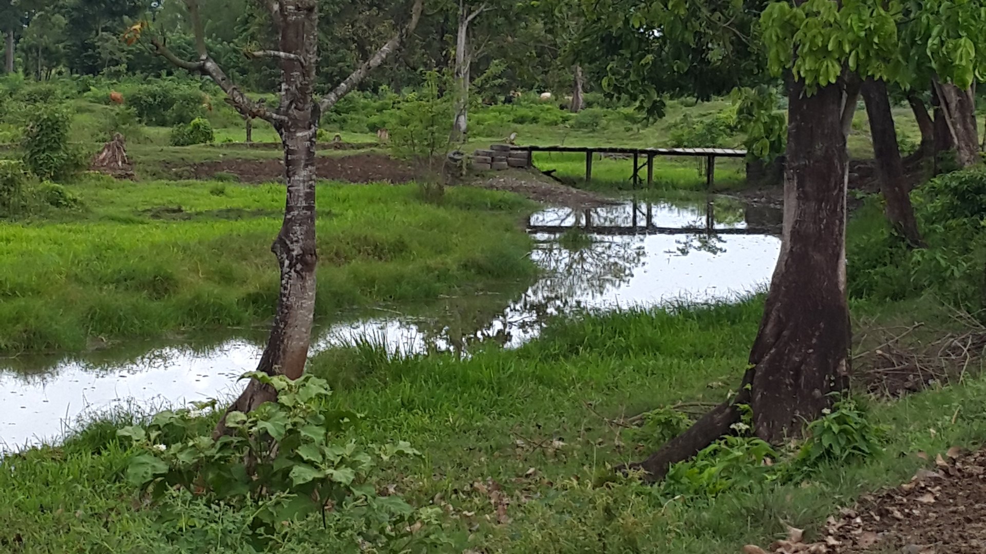 FINCA EN VENTA EN ALDEA EL SAUCE  - Miniatura 35