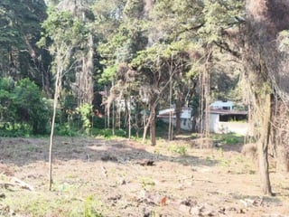 Terreno Residencial en Venta El Encinal Zona 7 de Mixco - 4
