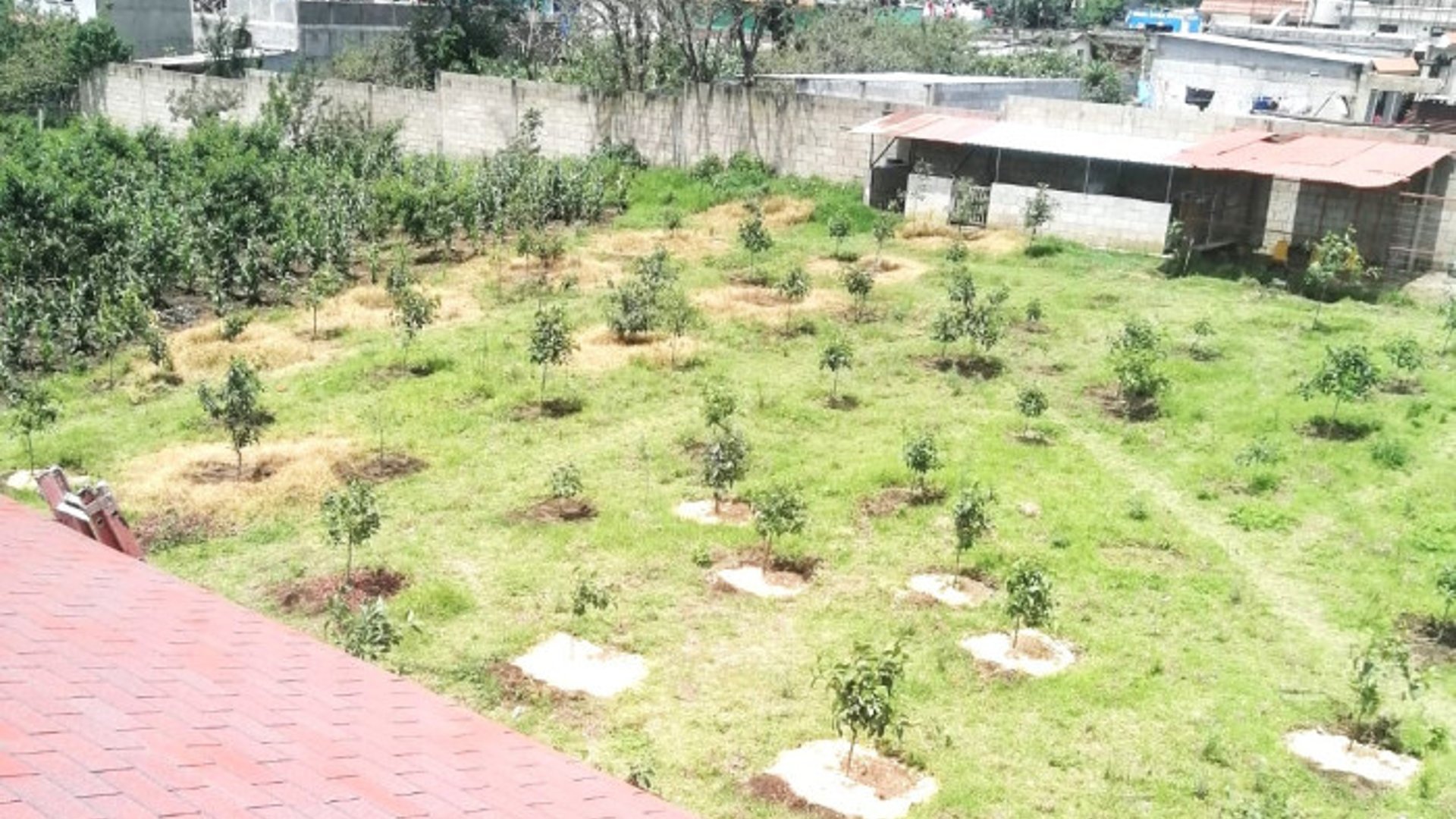 Granja Amueblada/Equipada en Alquiler en Chimaltenango - Miniatura 6