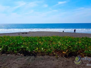 Terreno en venta en Monterrico, Santa Rosa - 3