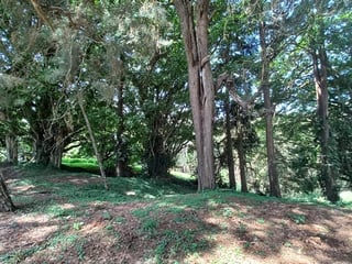 Terreno en venta, en San José Pinula - 2