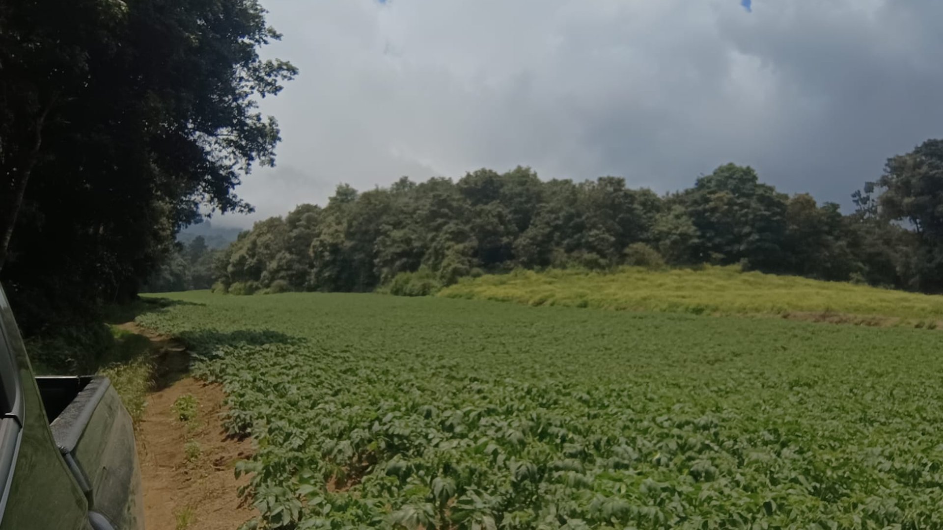Terreno en venta, en Quetzaltenango - Miniatura 7