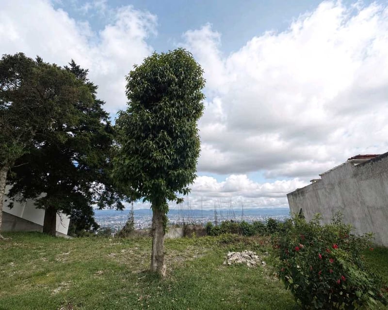 TERRENO EN VENTA📍 Altos de Montebello, Km.12.7 Carretera a El Salvador