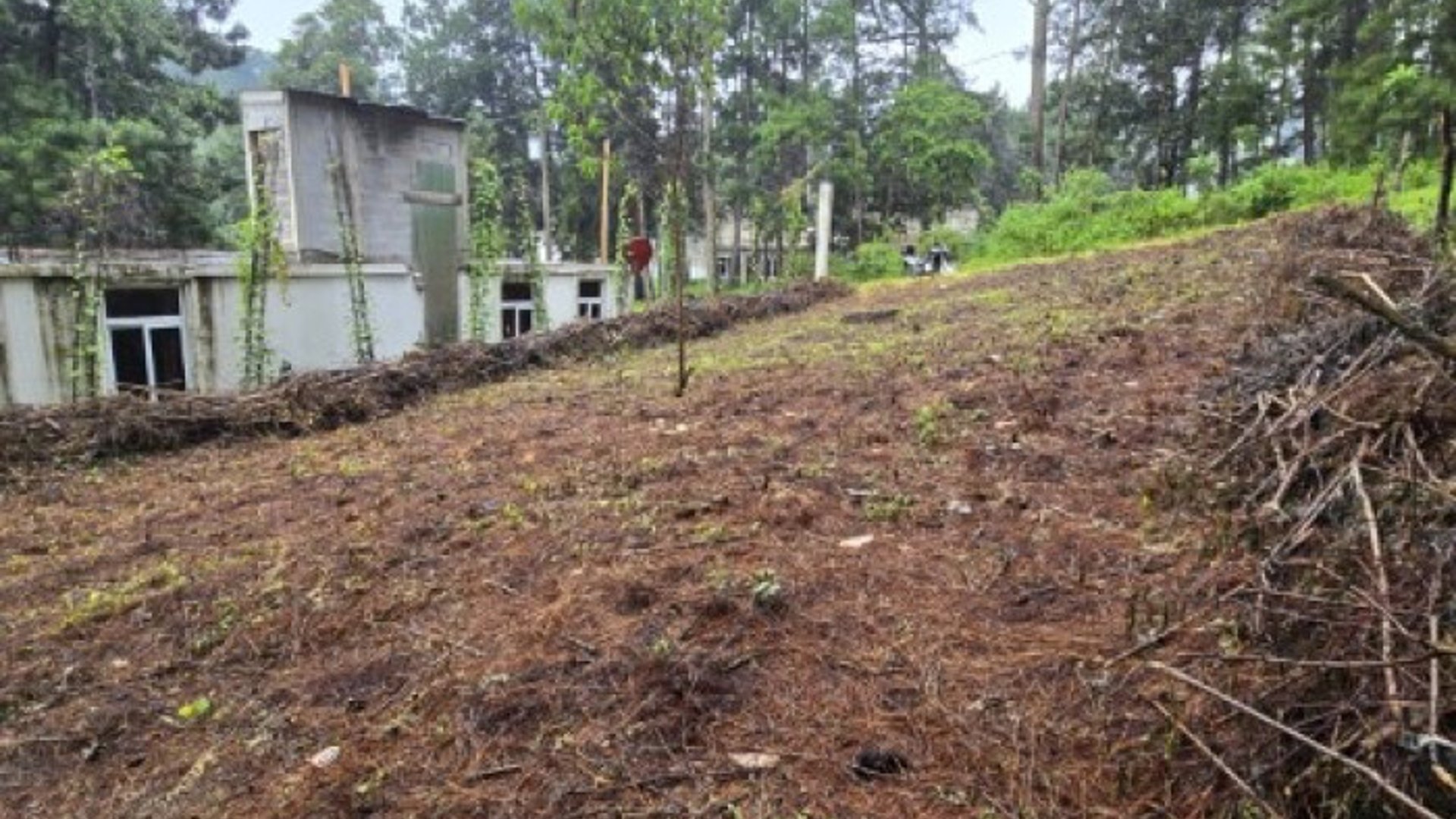 Terreno en Venta Hacienda Manzanales Santa María Cauque - Miniatura 5