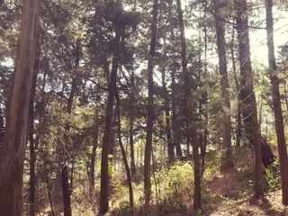 Terreno en venta, en Chimaltenango - 2