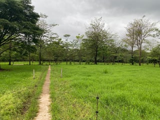 FINCA EN SANTA ROSA - 2