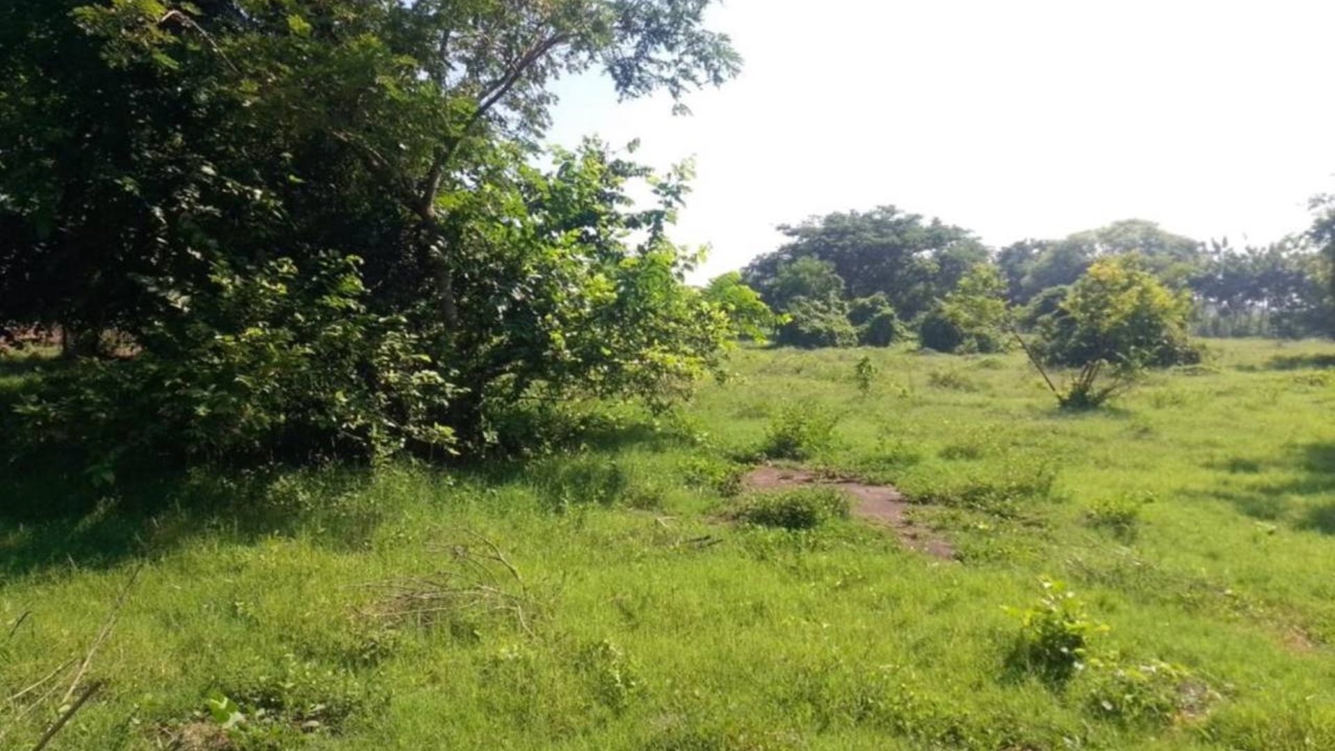 19 Manzanas en venta en Carretera Vieja al Puerto San Jose - Miniatura 5