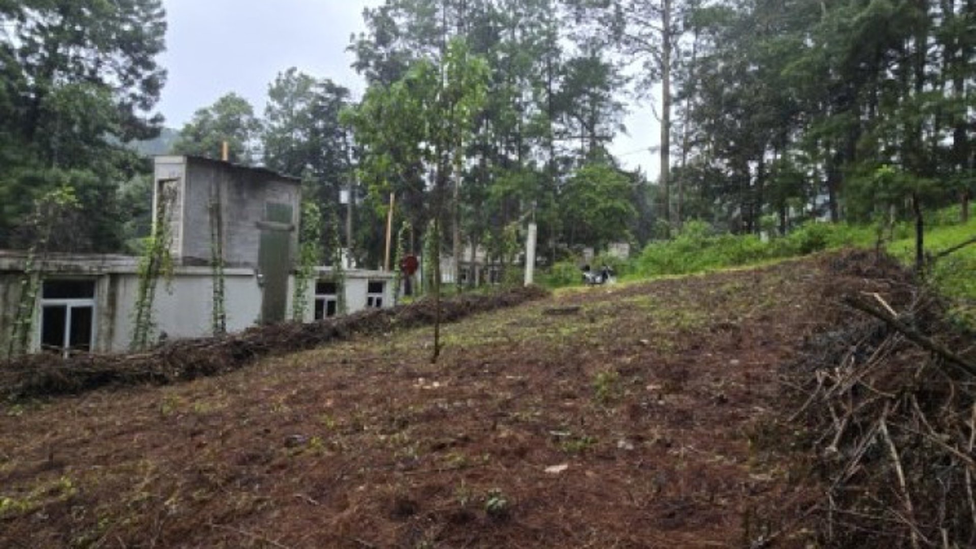 Terreno en Venta Hacienda Manzanales Santa María Cauque - Miniatura 11