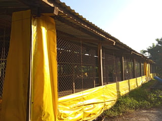 Terreno en Venta Km. 81 Masagua, antigua carretera a Puerto Quetzal - 4
