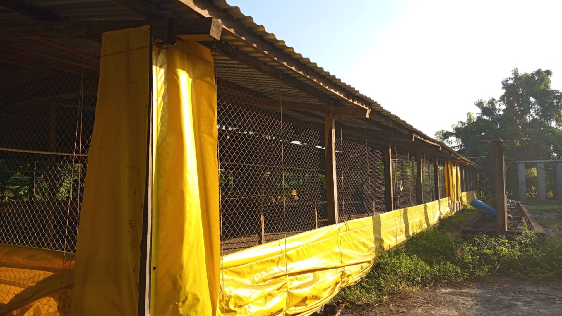 Terreno en Venta Km. 81 Masagua, antigua carretera a Puerto Quetzal - Miniatura 4