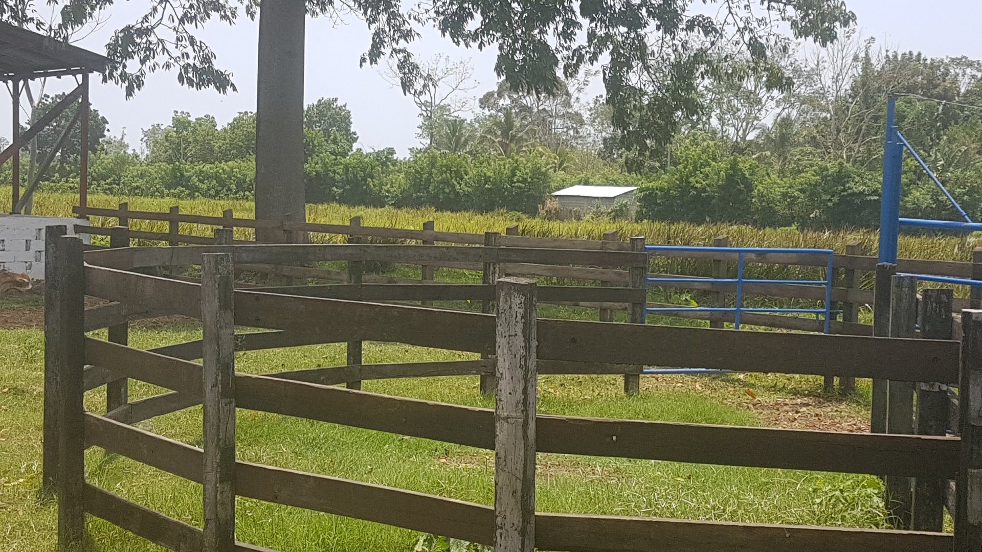 FINCA EN VENTA EN ALDEA EL SAUCE  - Miniatura 15