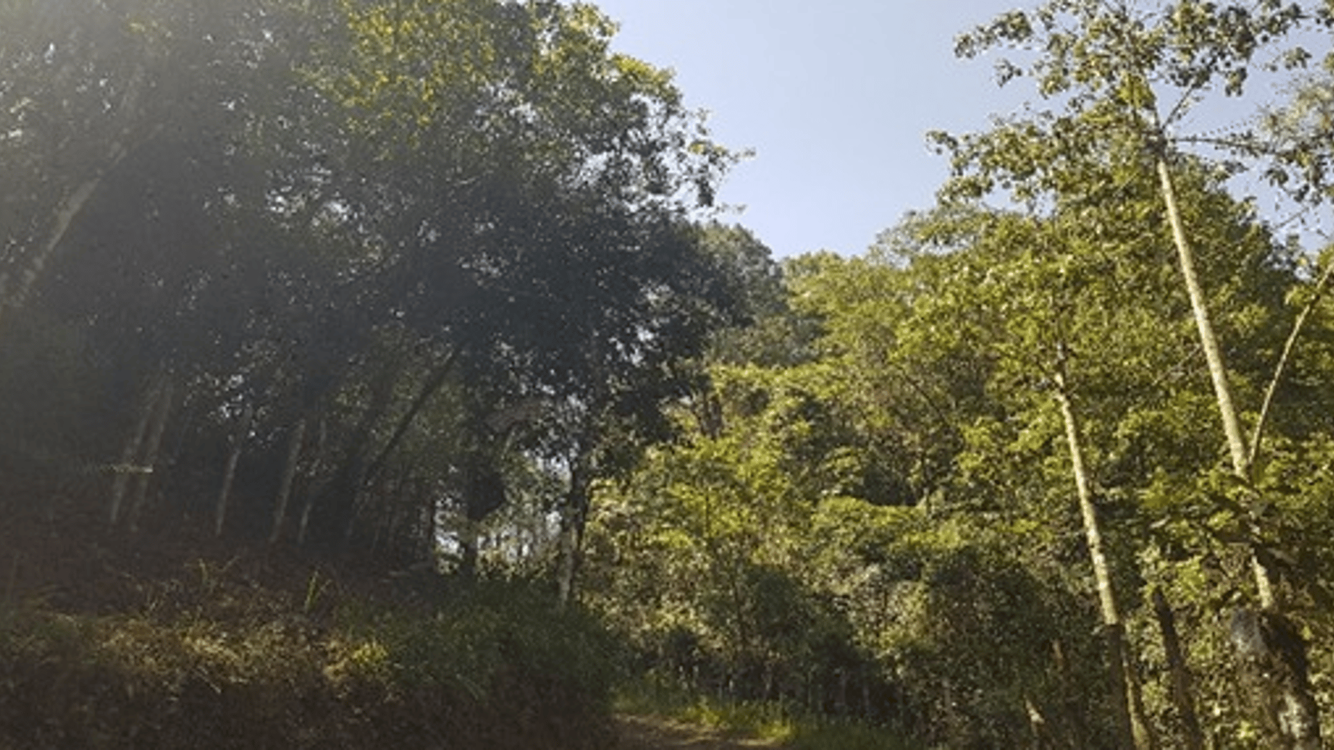 Terreno en Venta en Santa Cruz Verapaz, Alta Verapaz - Miniatura 2