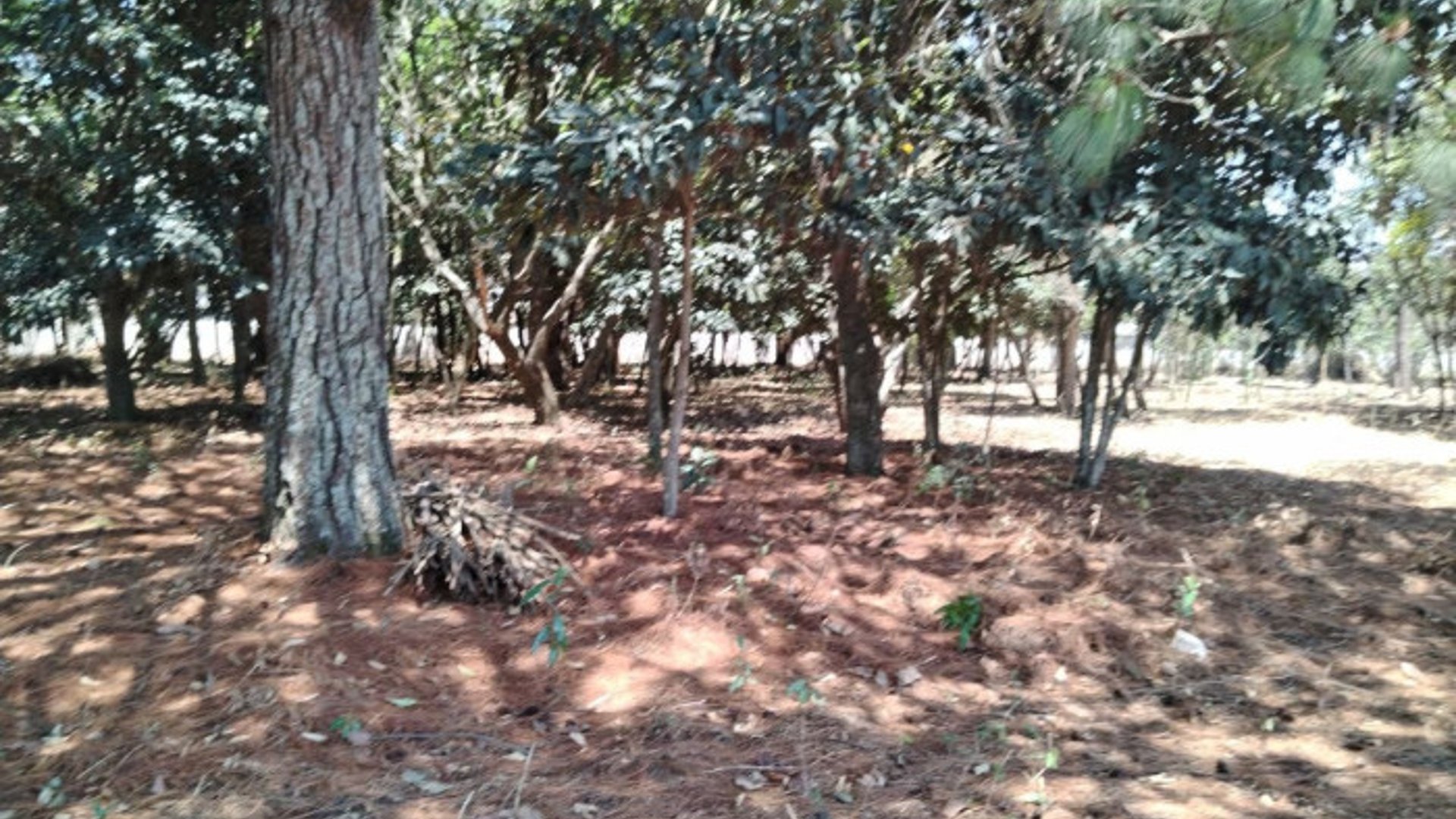 TERRENO EN VENTA EN CHIMALTENANGO - Miniatura 7