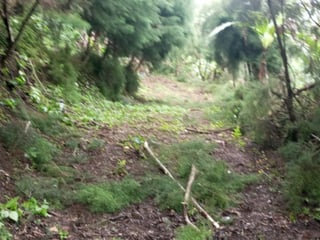 Terreno en venta para desarrollo comercial en Amatitlán - 2