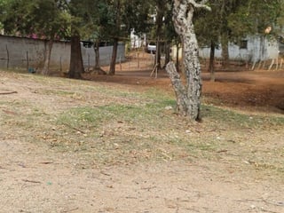 Terrenos en Venta, San Pedro Ayampuc - 2