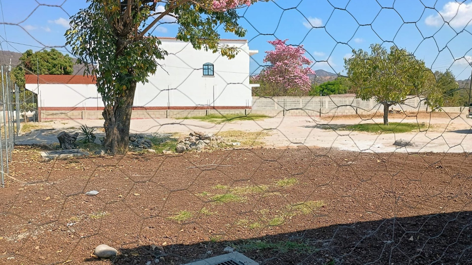 Terreno en Venta y Renta, Monjas Jalapa