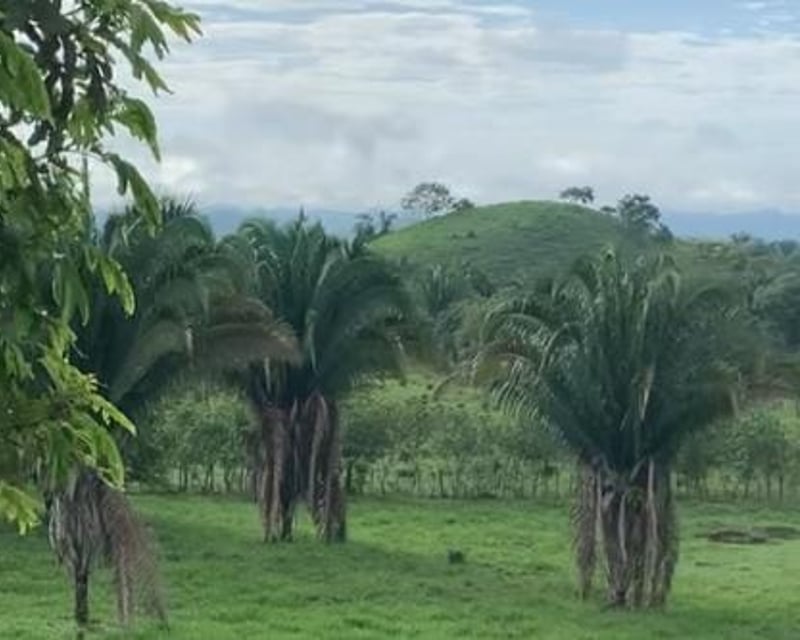 Finca en Venta en el Chal Petén