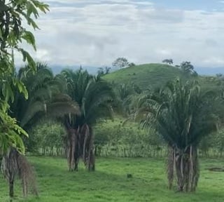 Finca en Venta en el Chal Petén