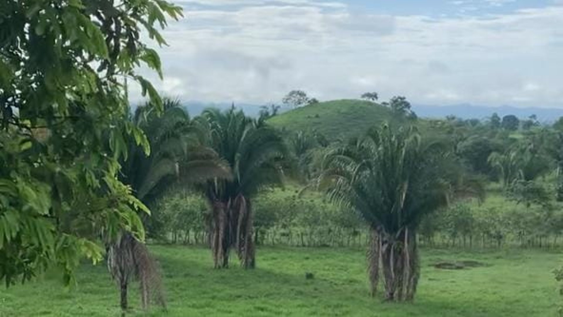 Finca en Venta en el Chal Petén