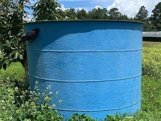 Finca en Producción de Aguacate Hass | 5.88 Mz en Chimaltenango - 4